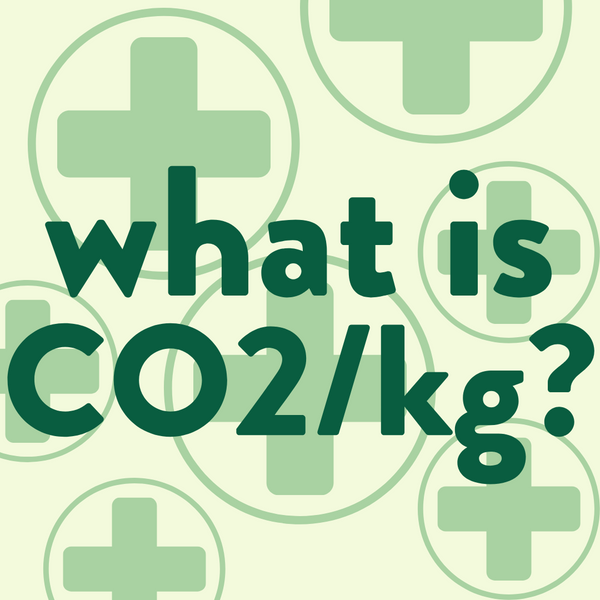 What is CO2/kg?